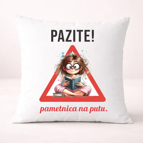 Pazite pametnica na putu - Jastuk